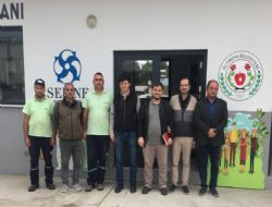 Sokak hayvanlar iin rnek tesis