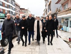 AK Partiden Altnova karmas