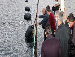 ARMUTLU TARIMSAL YATIRIMLAR NCELEND