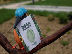 Oral: Doa, bizim yeil izgimiz